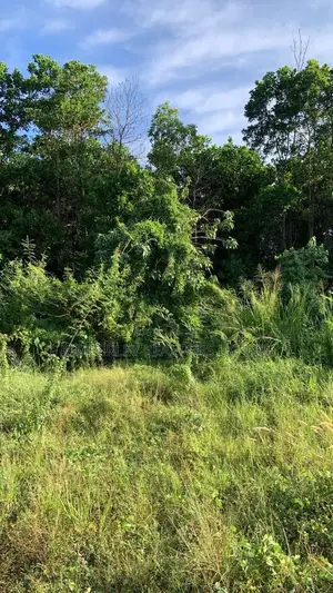 Prime Plot for Sale – Gayaza Vumba