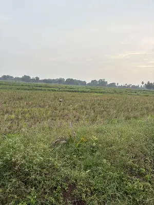 Prime Plots for Sale – Busika (Arena Town Estate)