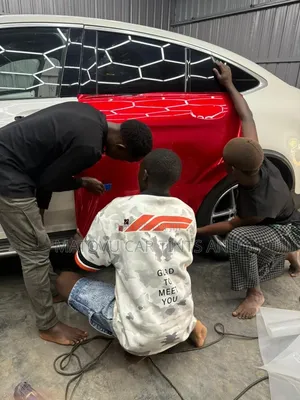 Denis Car Body Wrapping and Paint Protection Films