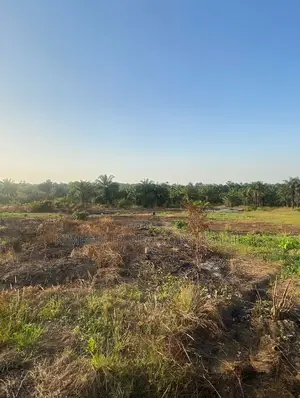 Prime Plot for Sale – Kiwenda (Hilltop Estate)