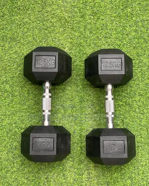 Dumbbells 12.5kg ~ Pair