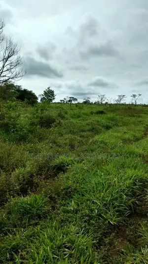 Prime Plot for Sale – Kiwenda Kireka Estate