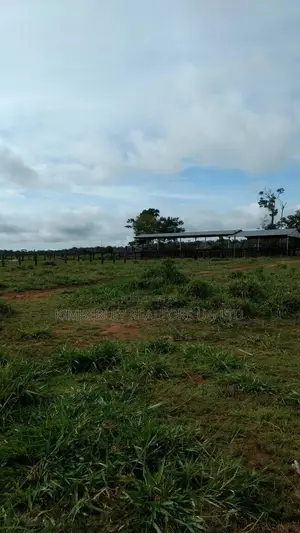 Prime Plot for Sale – Busika Kabembe Estate