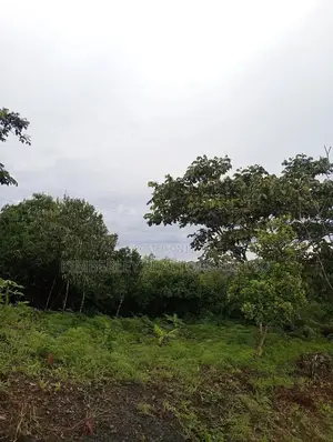 Prime Plot for Sale – Gayaza Kiwenda Estate