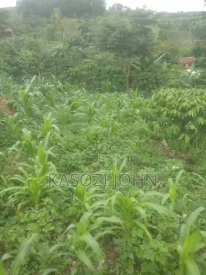 50ft by 120ft Gobero Wakiso