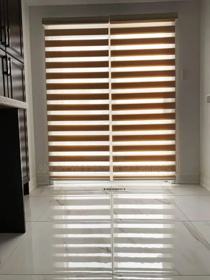 Rollers Shades Blind Curtains