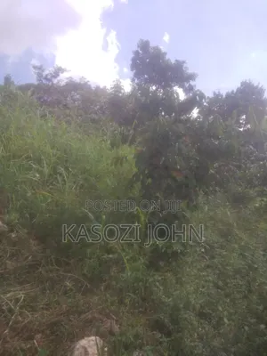 40ft by 95ft Plot Magogo ,Kakiri Town