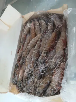 Frozen Prawns