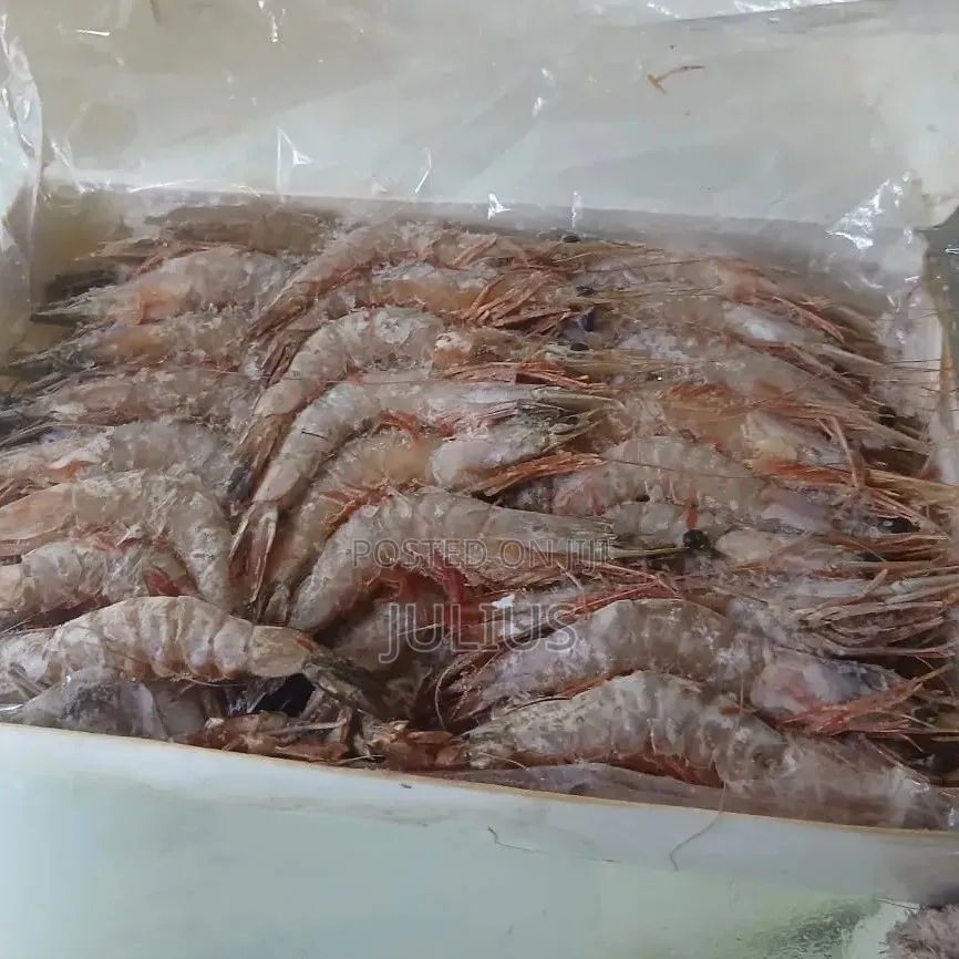 Frozen Prawns