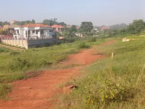 Quick Sale – Land in Kira