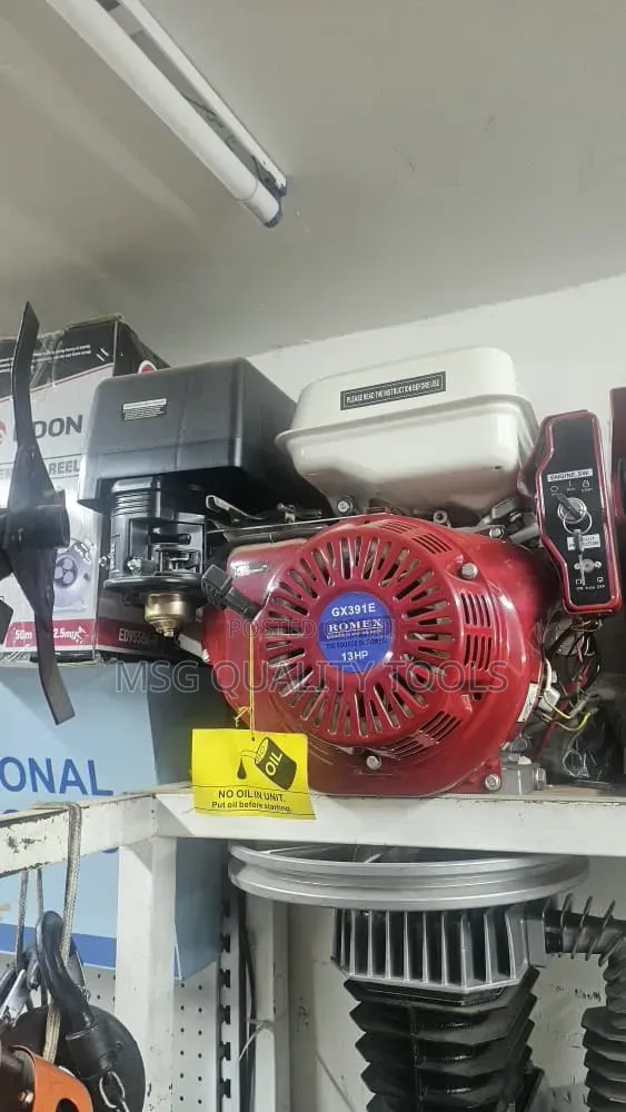 Petrol Engine 13hp