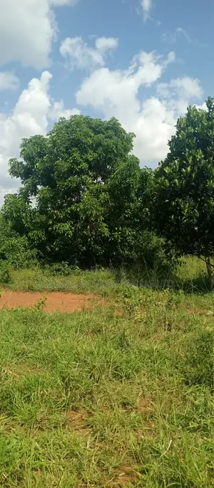 Acre of Land for Sale – Kibenge, Masaka