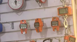 Hanging Scale 660lb/300kg - High Accuracy Crane Scale With Lcd Display
