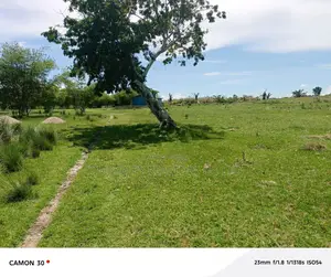 Land for Sale – Masaka Bwende