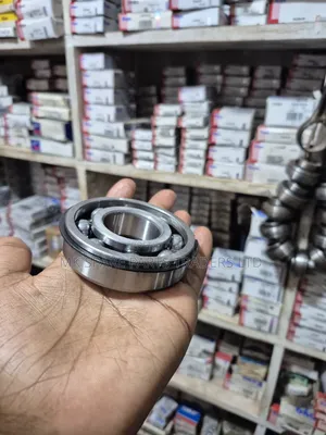 Plain Bearings