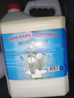 Bongo or Natural Yogurt