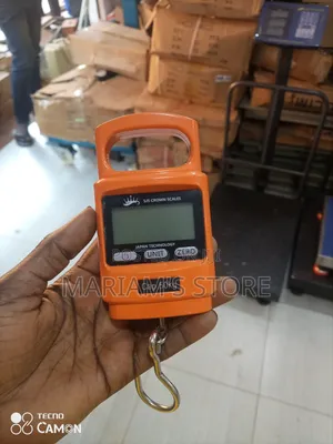 Digital Hanging Scale.