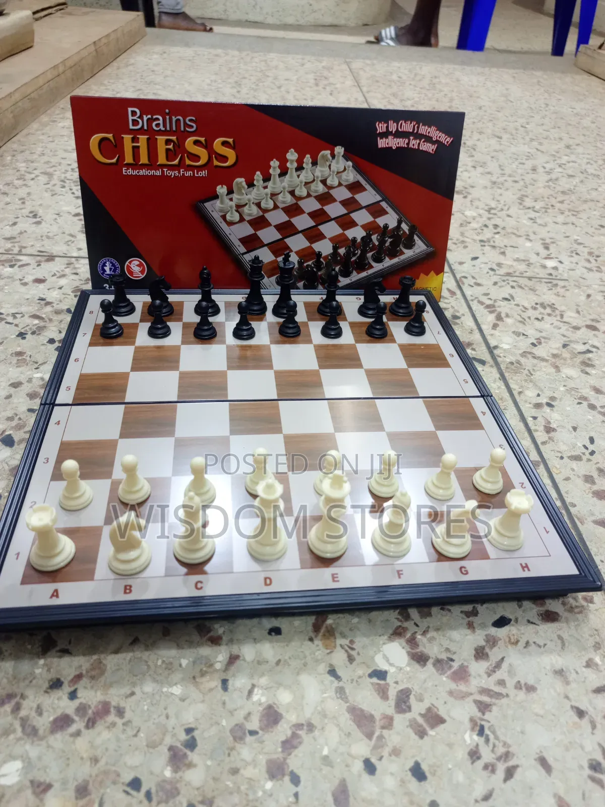 Magnetic Chess