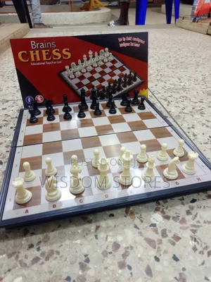 Magnetic Chess