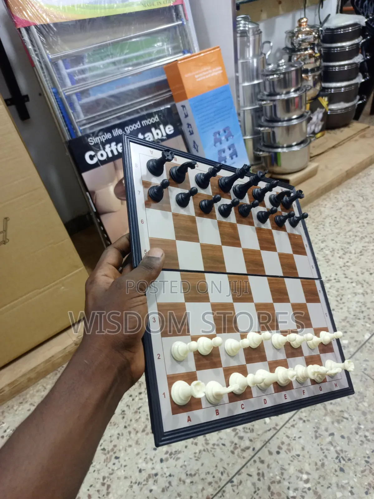 Magnetic Chess