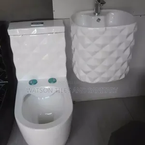 Combo Toilets
