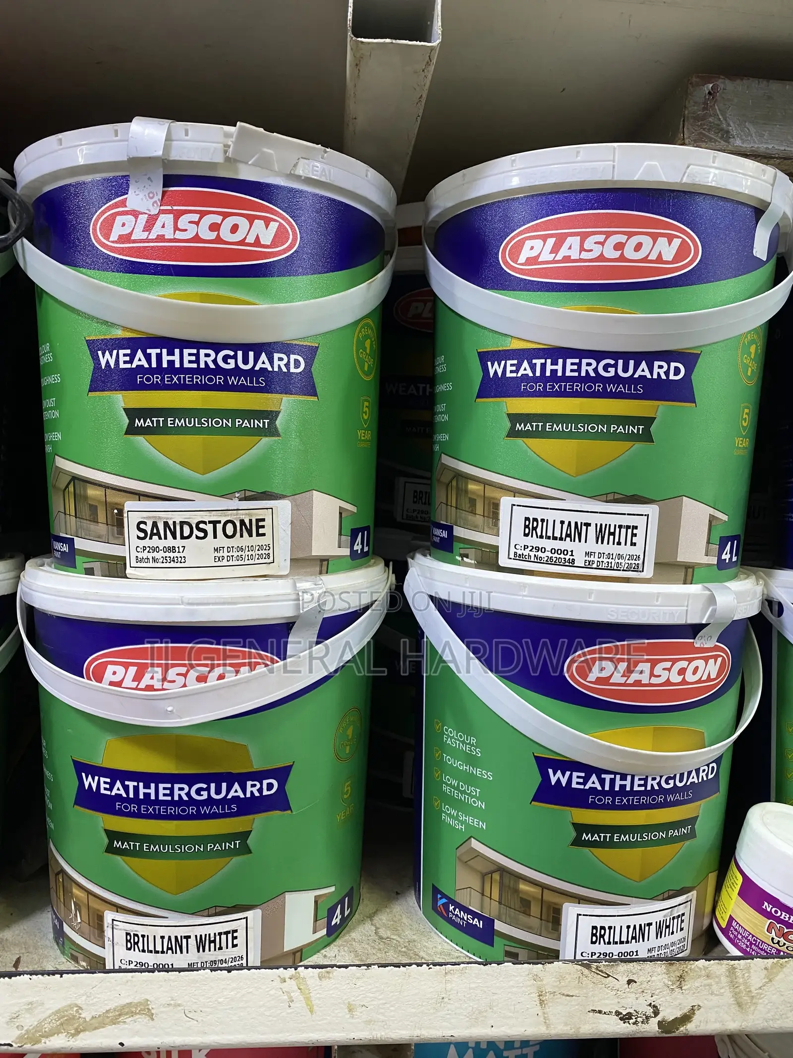 Weather Guard Paint