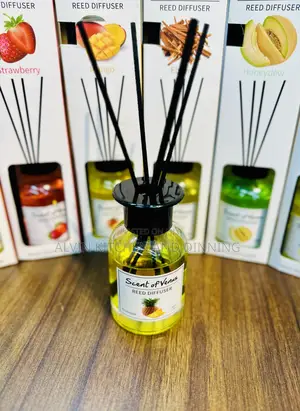 Diffuser 100ml for Your Home and Office