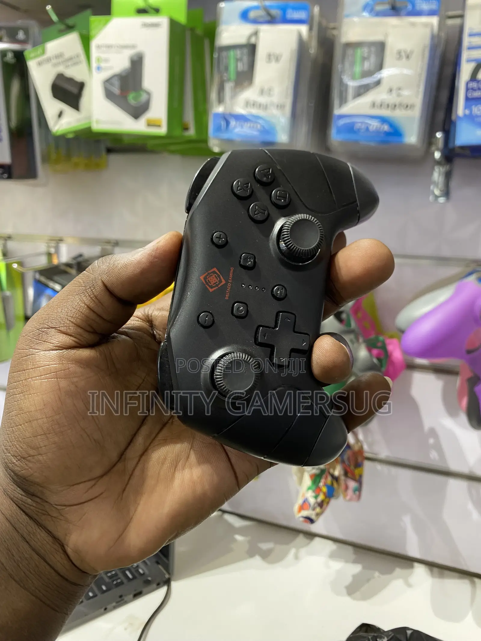 Nintendo Switch Controller