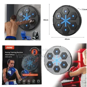 Boxing Machine for Home Wall Mount Bluetooth Music Electronic Boxing
