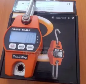 300kgs Crane Weighing Scale