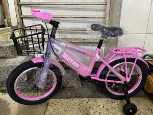 Front Rack Bicycle Pink 1 to 9 Years