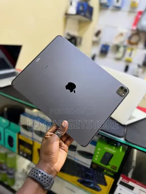 Apple iPad Pro 256 GB Gray