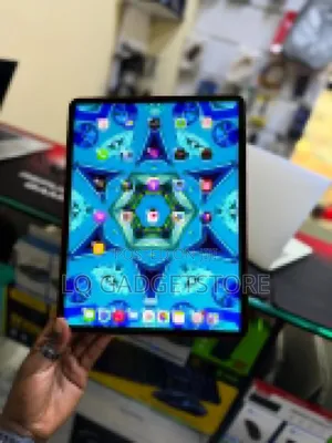 Apple iPad Pro 256 GB Gray