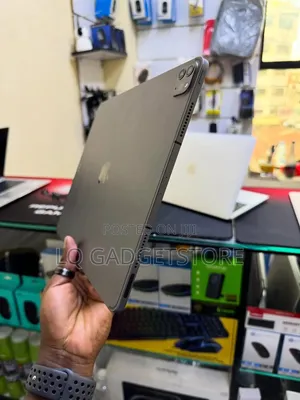 Apple iPad Pro 256 GB Gray