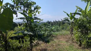 7 Acres of Farm Land for Sale