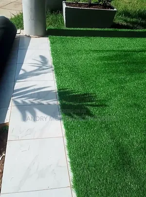 Home Executive Grass Carpets