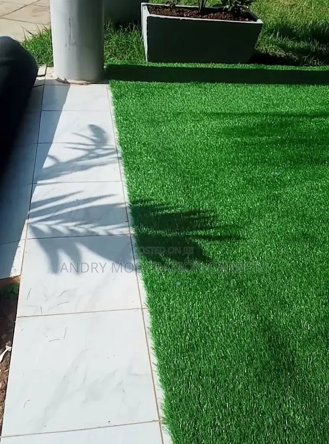 Home Executive Grass Carpets