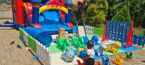 Bouncing Castle