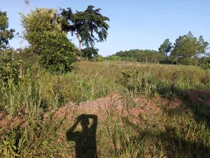 Plot of the Land Is on Quick Sale in Lira