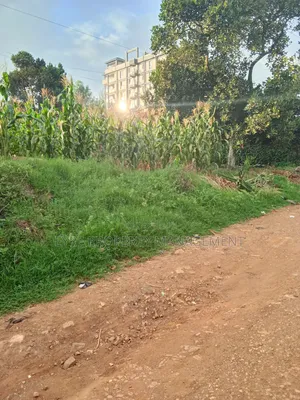 25 Decimals for Sale in Bukoto at 300m