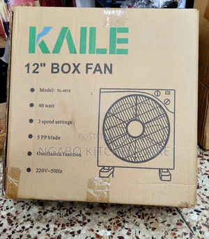 Electric Floor Fan