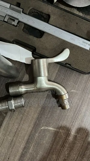 Stainless Steel Taps