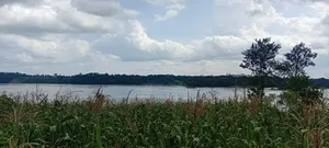 2.5 Acres With a Machine Drilled Borehole,On River Nile,Jinja District