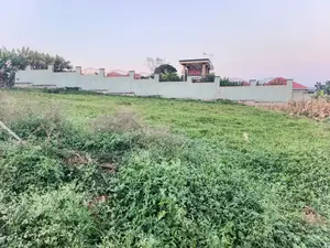 Titled Plots for Sale – Mukono Nasuuti Town