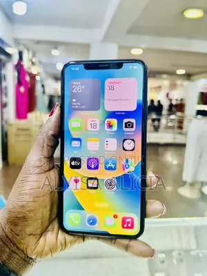 Apple iPhone 11 Pro Max 64 GB Gray
