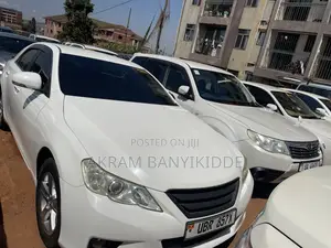 Toyota Mark X 2010 White