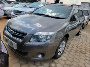 Toyota Corolla Fielder 2009 Gray