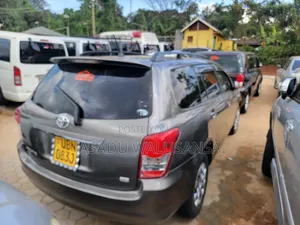 Toyota Corolla Fielder 2009 Gray