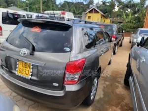 Toyota Corolla Fielder 2009 Gray