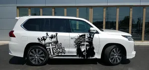 Denis Car Body Stickers